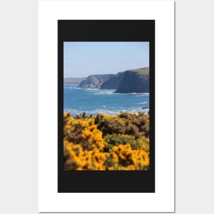 Springtime gorse Posters and Art